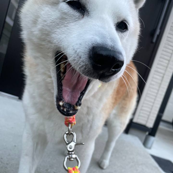 1e8c5dcc 09c6 429b 9b00 7563b5077176 1667554645082