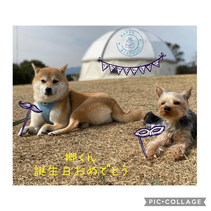 1e8cb0b8 4953 4a19 b0e7 198a5b70770f 1614390075425