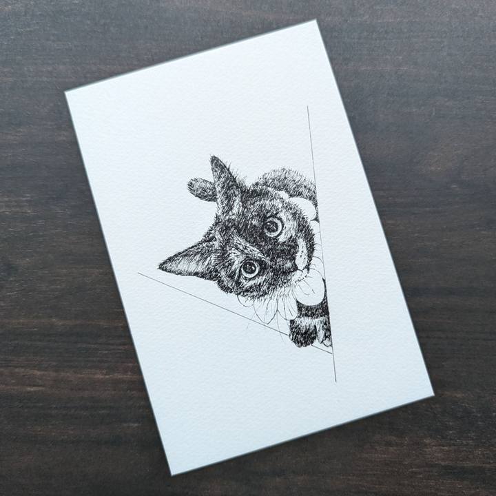 1e8cc77a df27 42b6 9692 e41917efabb5 1694097502868