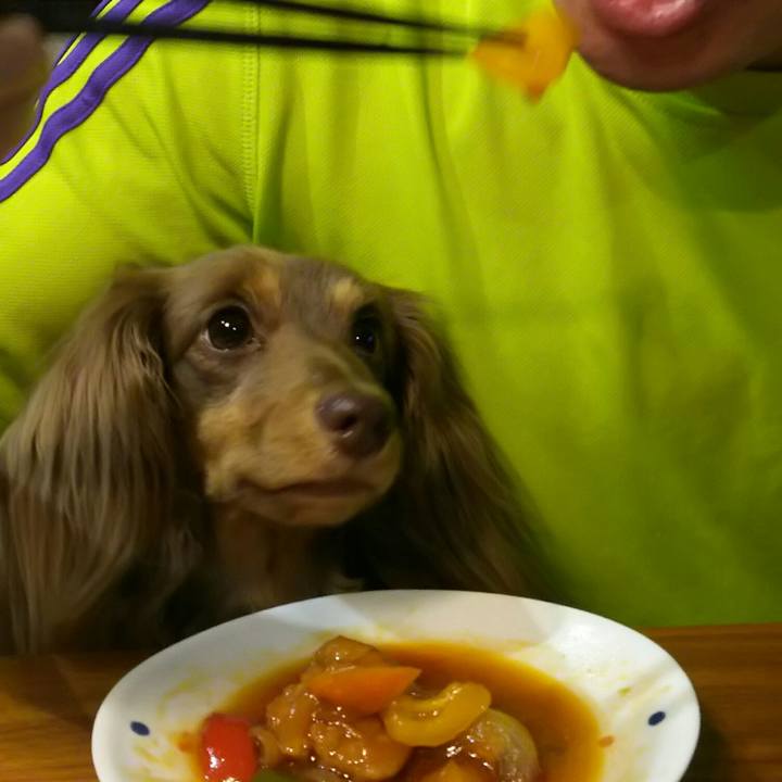 1e8cec08 3d57 4499 bff4 b37cdc310c50 1529152295458