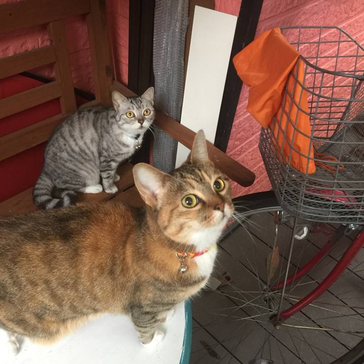 1e8d0e15 5da0 4f16 83fa 05e7eb1e7dfd 1561802445717