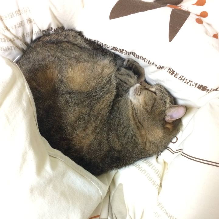 1e8d4f07 4bec 4a2b a93e b2ce03ed9bee 1539965514364