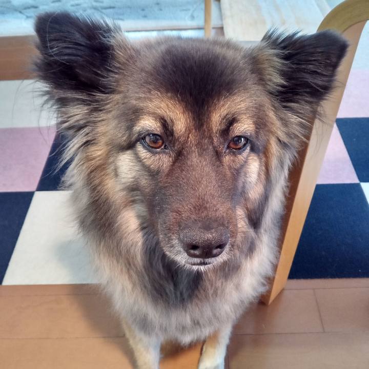 1e8d523d 1bd9 431c b8f7 d4c293d8d84b 1767490111632