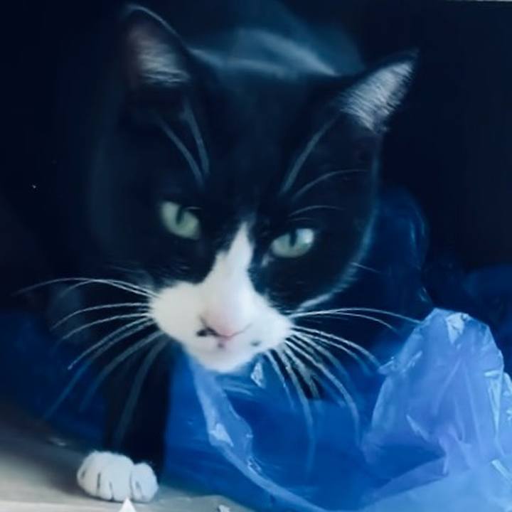 1e8d5c43 0246 4d9e 9187 39c4636f2a75 1732422753765