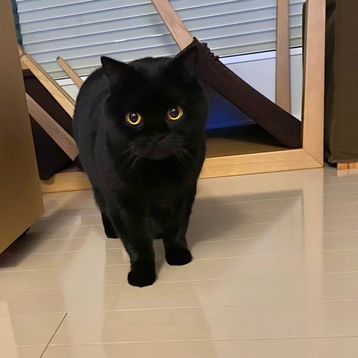 1e8d8b46 32b5 40b3 b728 185e0c7c6bbb 1670932770111