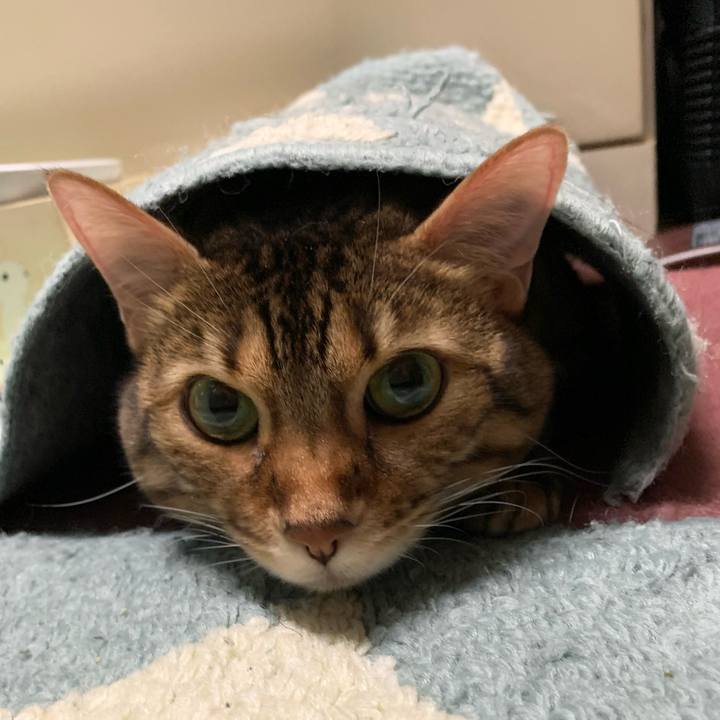 1e8dbb2d 016e 49b5 9a39 c0394eebba35 1613865121071