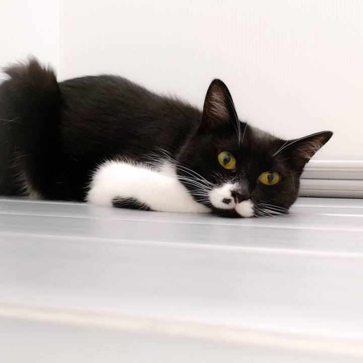 1e8dfd0a 614d 4d6f 9c7b 3695178d905d 1562859774827