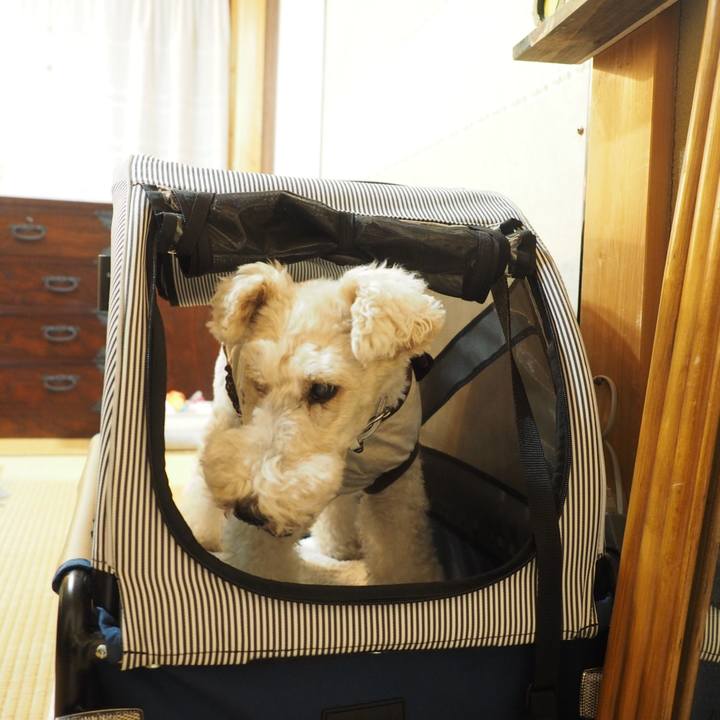 1e8dfe8f 0505 4a82 86e3 4a5428db62c3 1589379755064