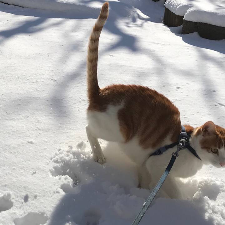 1e8e29ac 269b 4801 8161 01165eecac90 1514339882141