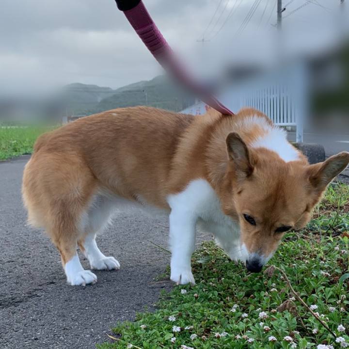 1e8e4dc6 d091 446c a89a dc27bbd25419 1691618969761