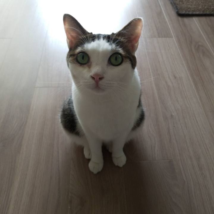 1e8e882e 05ef 48b9 b48c fd89efaaea7b 1569734540218