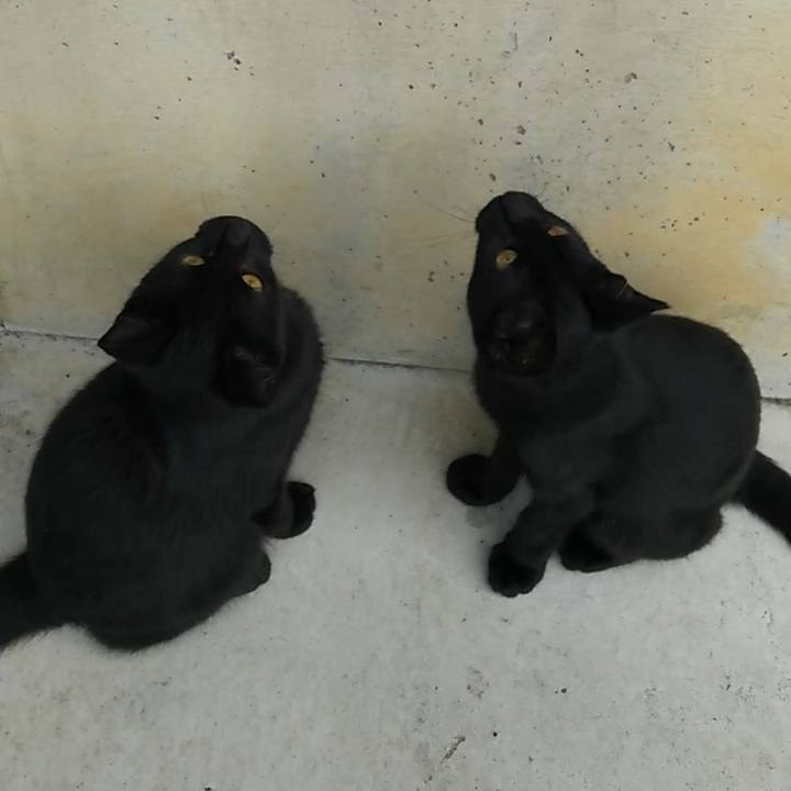 1e8eb54a f3a9 4dc8 92f9 d1eec1d4e0a8 1537776909305