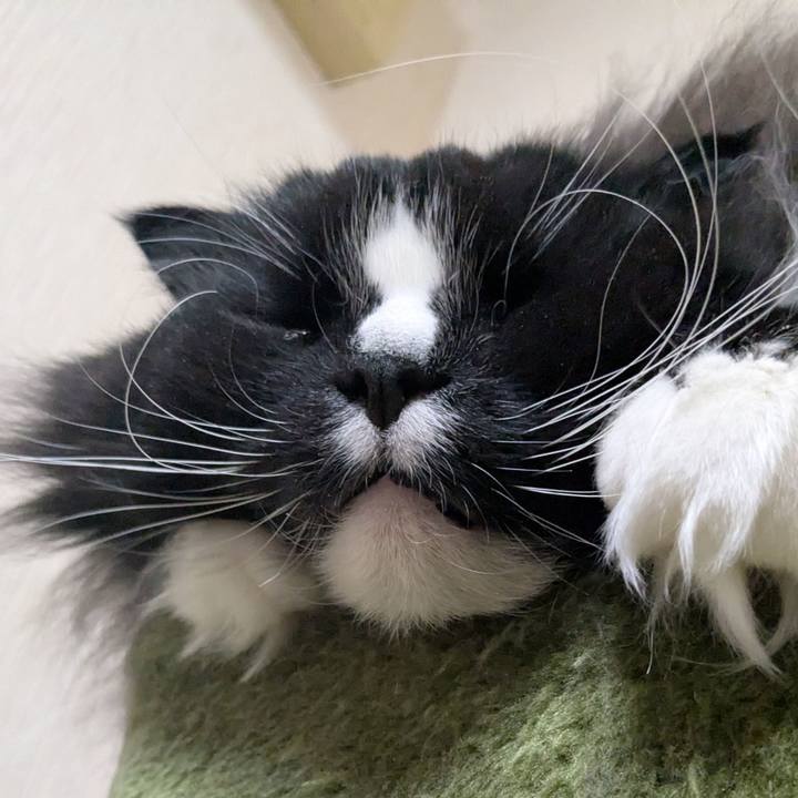 1e8eba84 292f 4dd2 84d7 0df0bdfc3a53 1769264450319