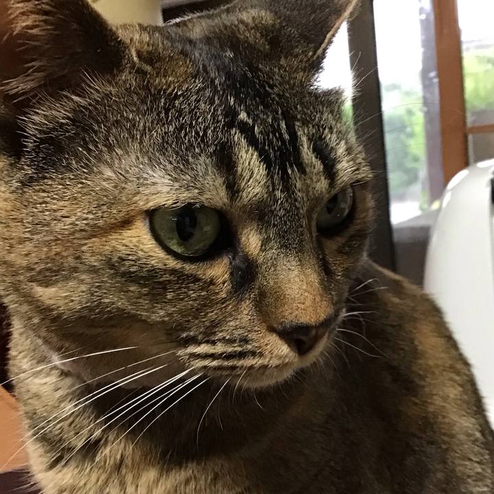 1e8ed4af 9e70 4780 83bc ab3ffc27d93d 1716109572882