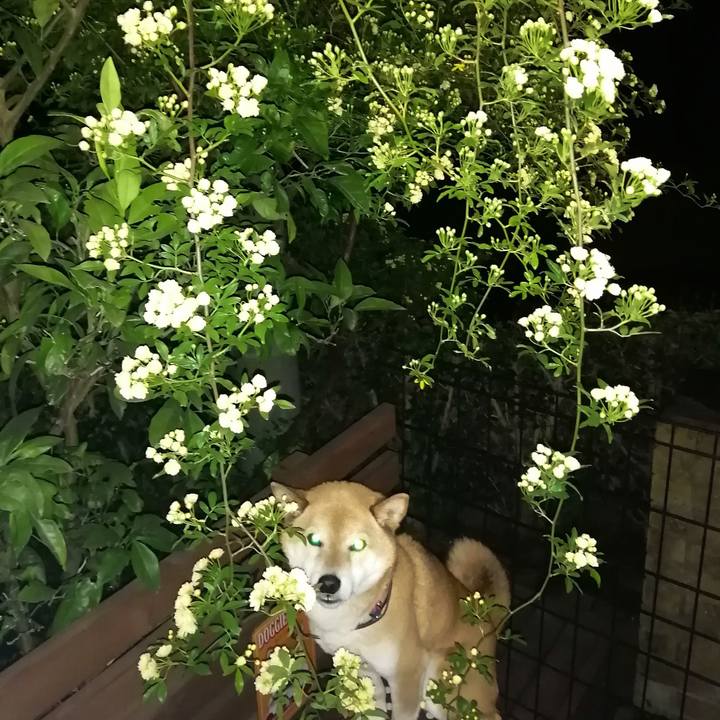 1e8edbfa b4fd 458b bb26 862f384cee54 1650452347721