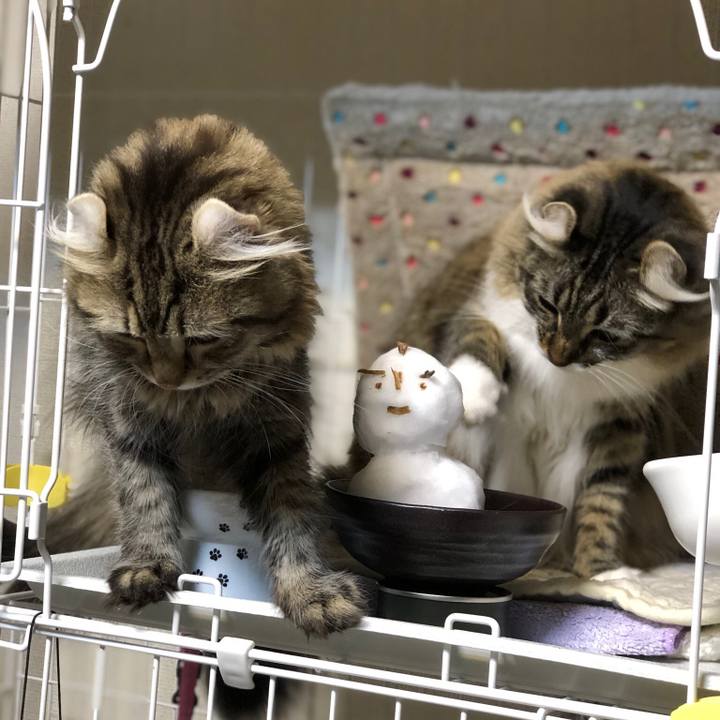 1e8f32ae e10f 4870 bb76 4d1ecc157eab 1542942382362