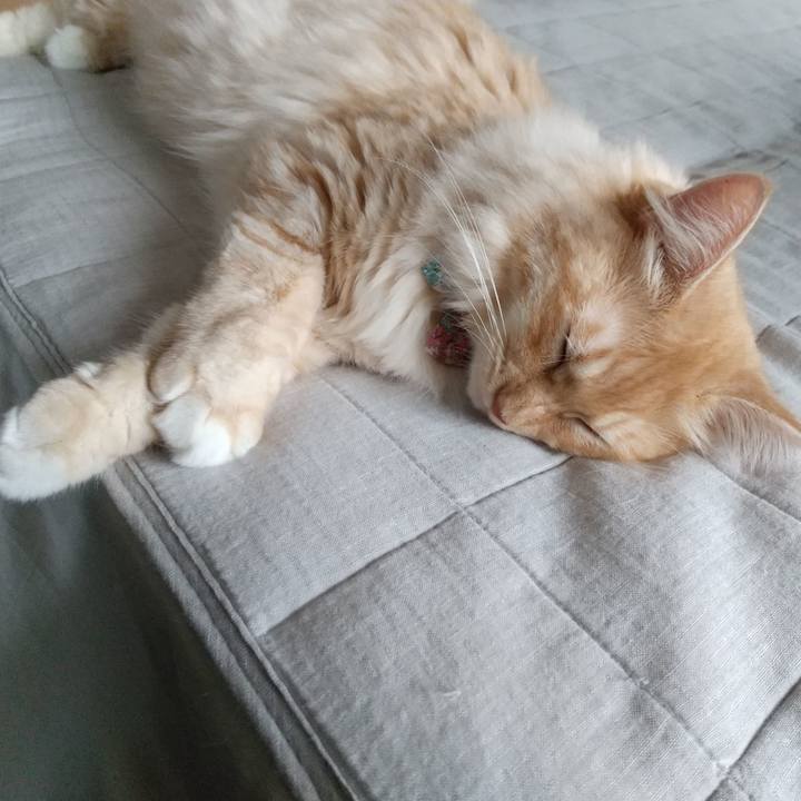 1e8f7c20 1b21 4796 8a94 27b1fab79749 1630883752097