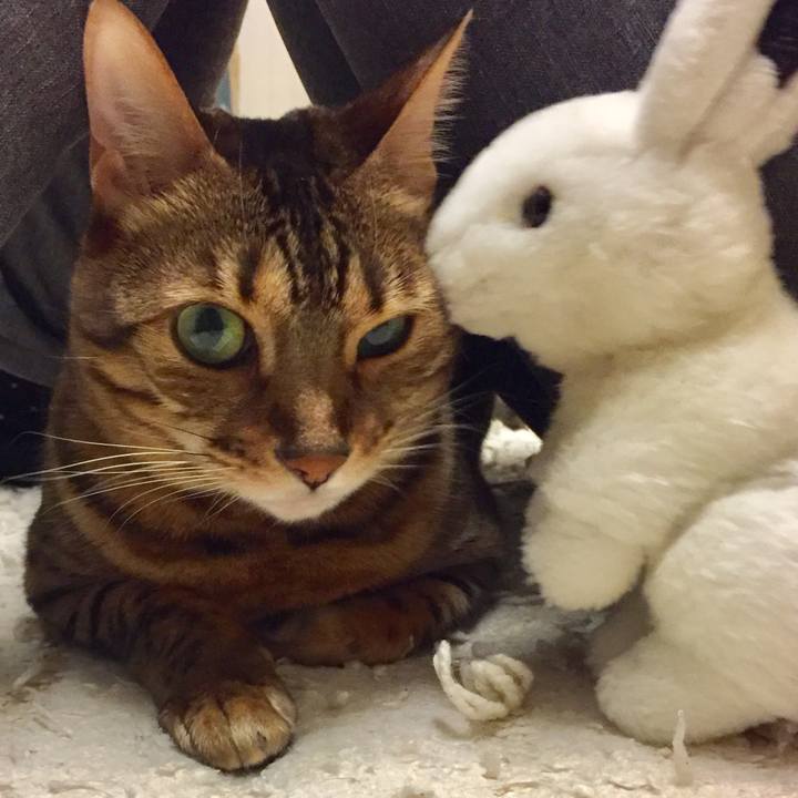 1e8faa36 968a 4ca3 9764 67b47d9c8117 1511300970891