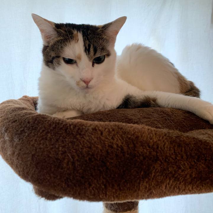 1e8fb635 7ab1 4452 851b 267d948fe7a8 1665102785253