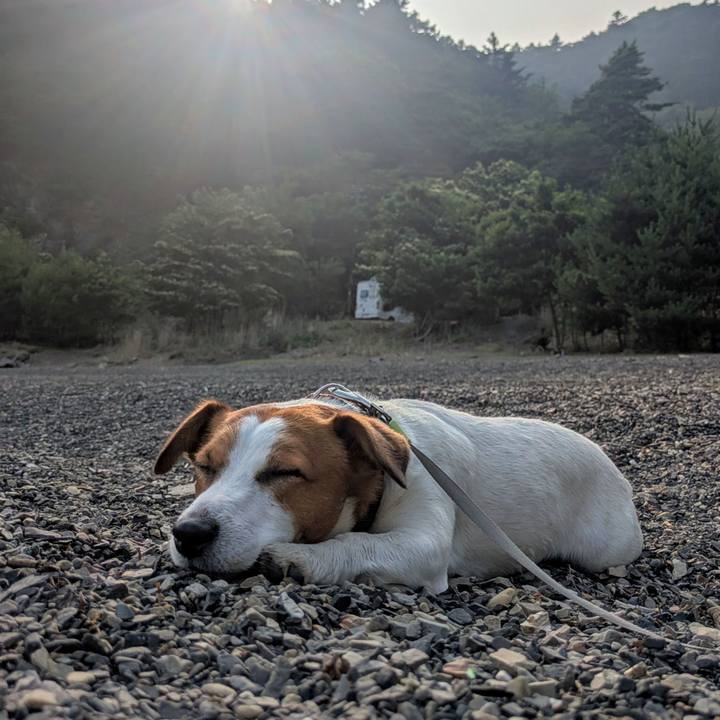 1e8fbec5 afc0 4a1f af05 21a569a03021 1751875054637