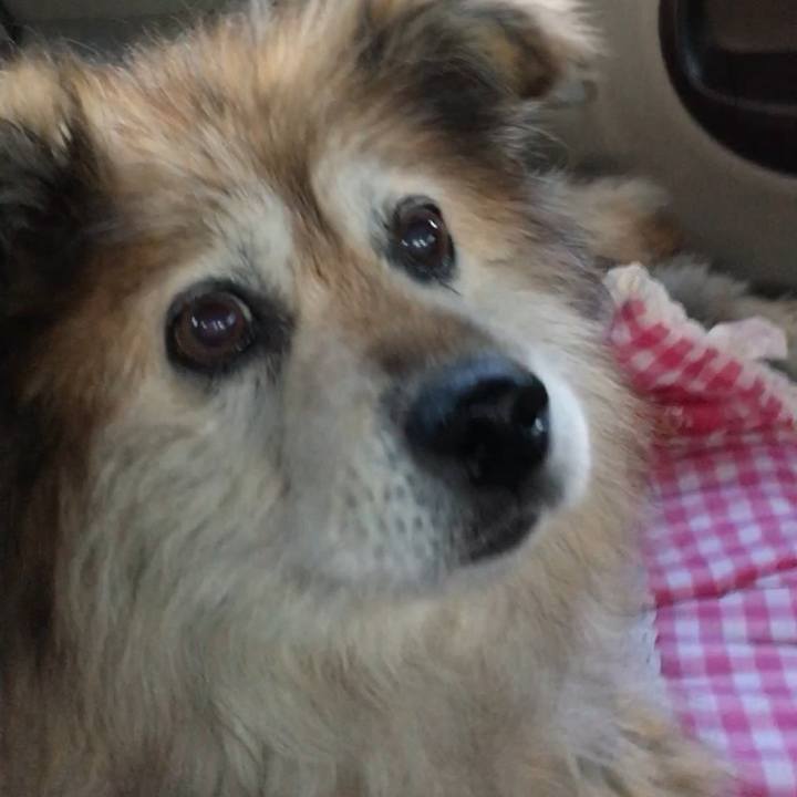 1e8fcb9a bbf2 43a0 8d88 2a89514e99d9 1567390286495