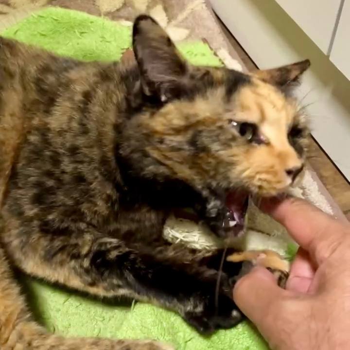 1e8fd840 f336 49ce a322 e16d2efbf9f6 1729416757849