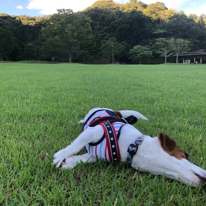 1e8fdad7 923f 495b 9e7b 81820d40e43f 1627008983939