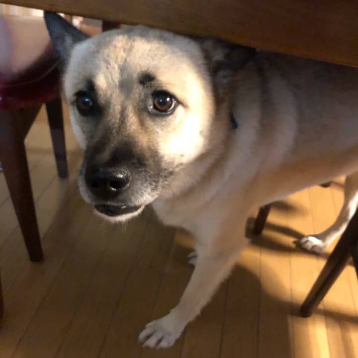 1e8fe78a 04c4 4430 8cac 5cc966ede157 1565008080532