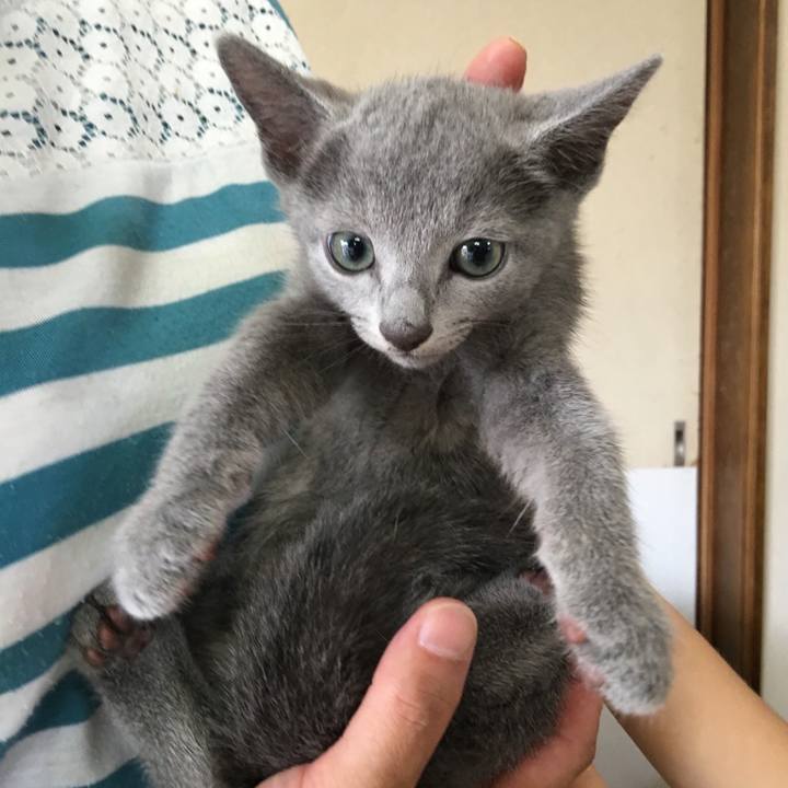 1e902a37 ede5 4d86 afac 235a1295316c 1735947589233