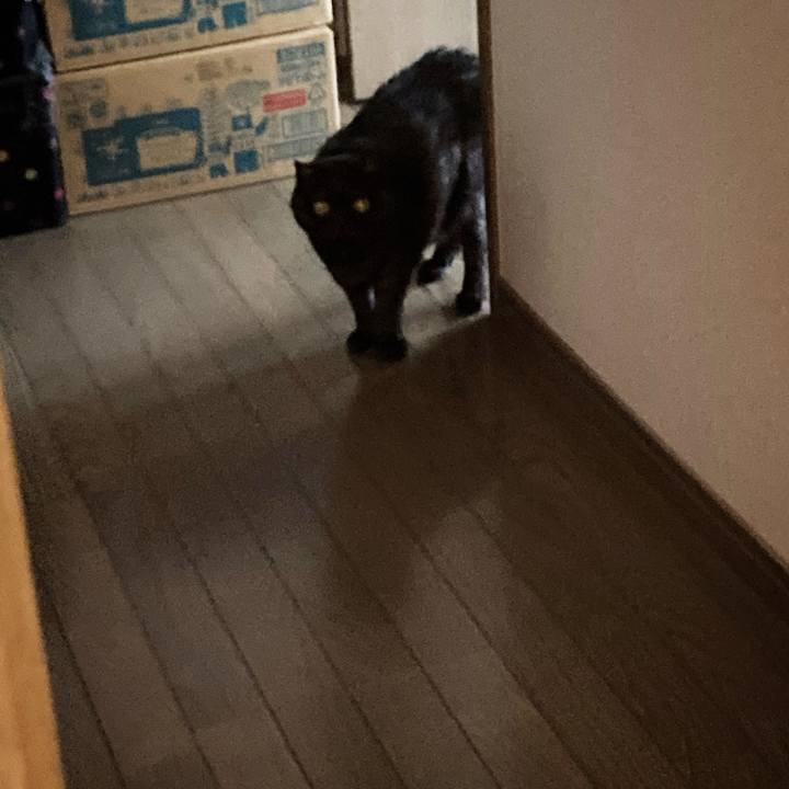 1e904d83 df86 45c0 b383 7983fd5d5b2a 1591412154658