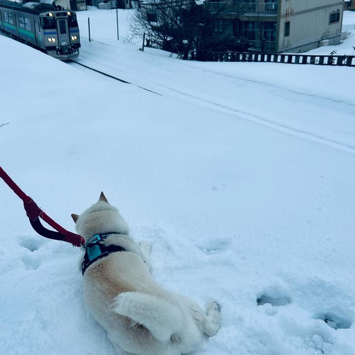 1e90797a f010 4701 95f4 d78cb78d41d6 1741997973864