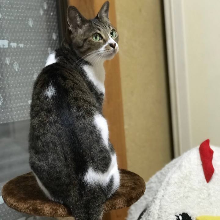 1e90a756 f06e 492b ad13 2676f09cc736 1514943976868