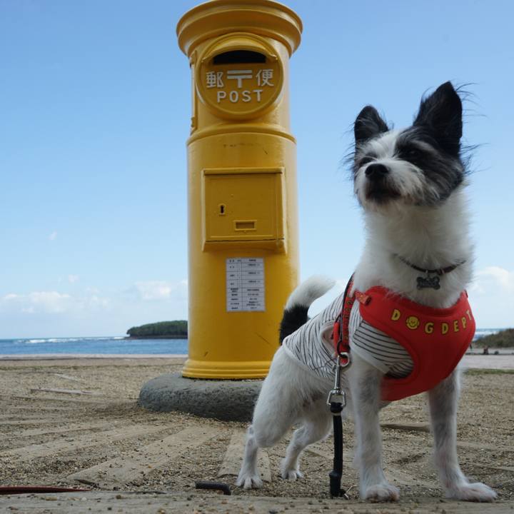 1e90b4b9 fb24 4a68 8272 768f57263538 1669610975198