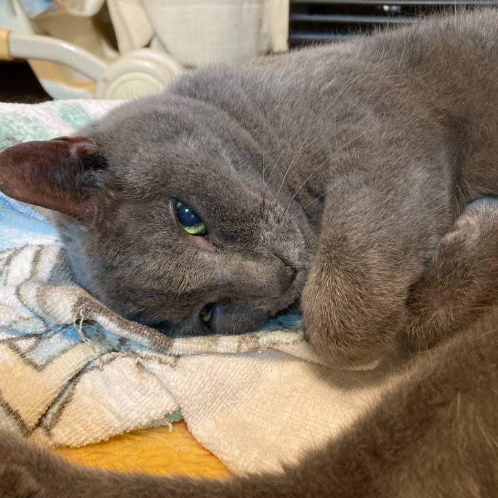 1e90b78c d9ab 455c b22f e48f8ea524d8 1631882501857