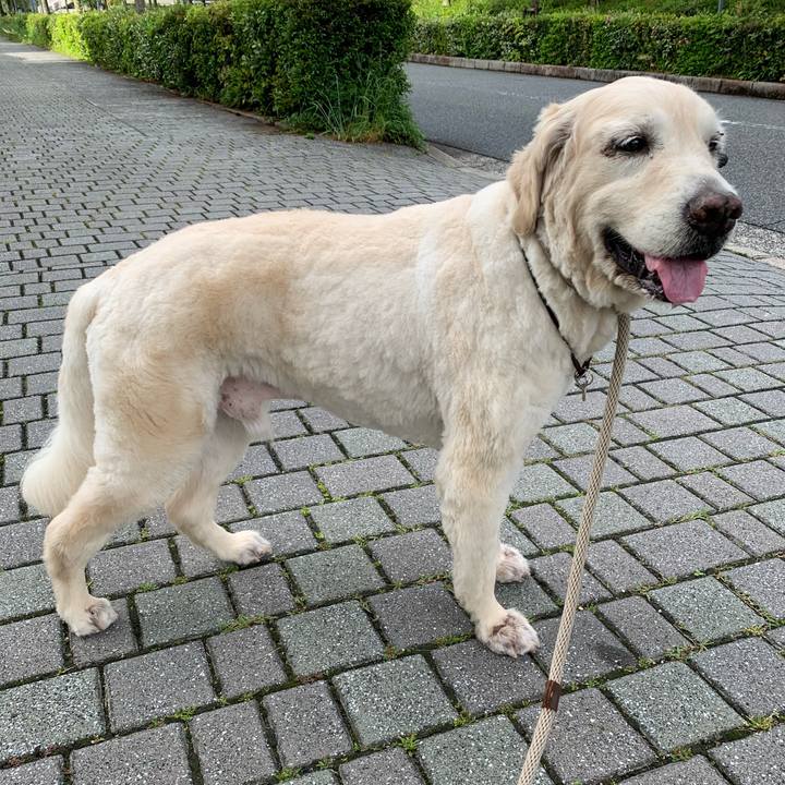 1e9164ca 9426 4d2a 9cfc f3990d56a0a6 1589153040271