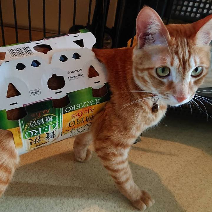 1e91c33f ba4a 45b7 a2e1 c5594e07b253 1617431682523