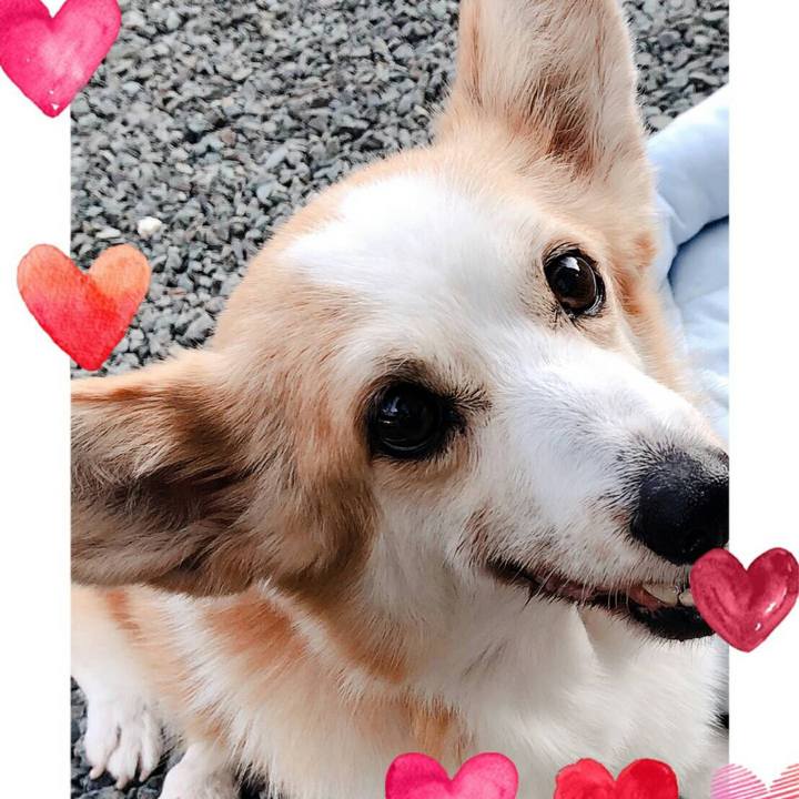 1e91dc1c 261a 4086 8769 b0b59fcf13c3 1531285656191