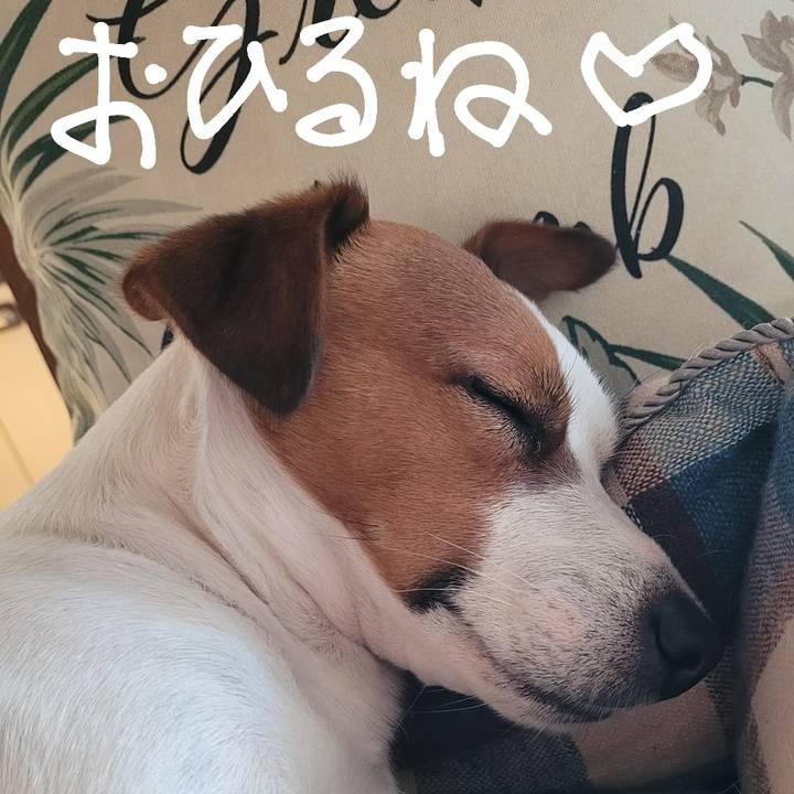 1e91fe18 d8f1 4195 b5db 48dac8eeda08 1666507653616