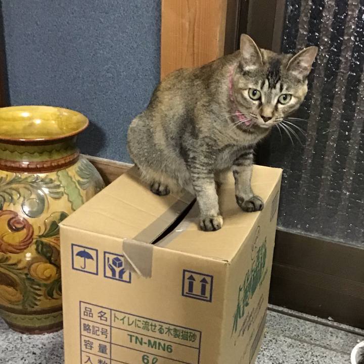 1e92035e c6d4 411e ba33 c2a593c4a409 1595068003404