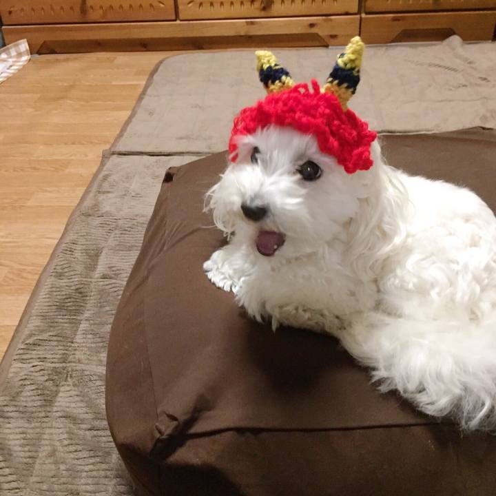 1e9204f0 8eed 400f ab64 89ba79d8d847 1549193433498