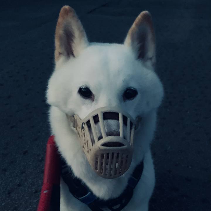 1e923573 a656 4a14 8d22 0544c83badba 1663186323314