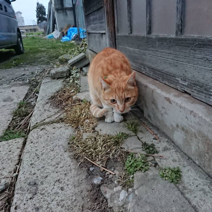 1e9235bc 52d8 4228 9c4a 9d1f83c2d390 1585300219768