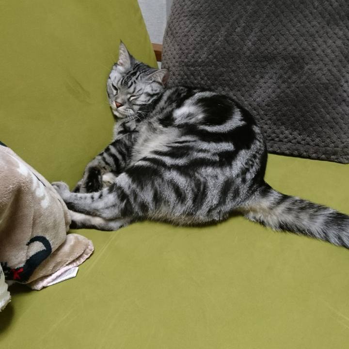 1e926a8d 3020 4315 bd2c 75ad6fab3292 1512441885219