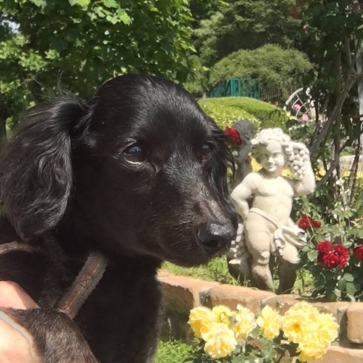 1e928ffe 468c 41b8 afbc 404f62024ade 1526351133725