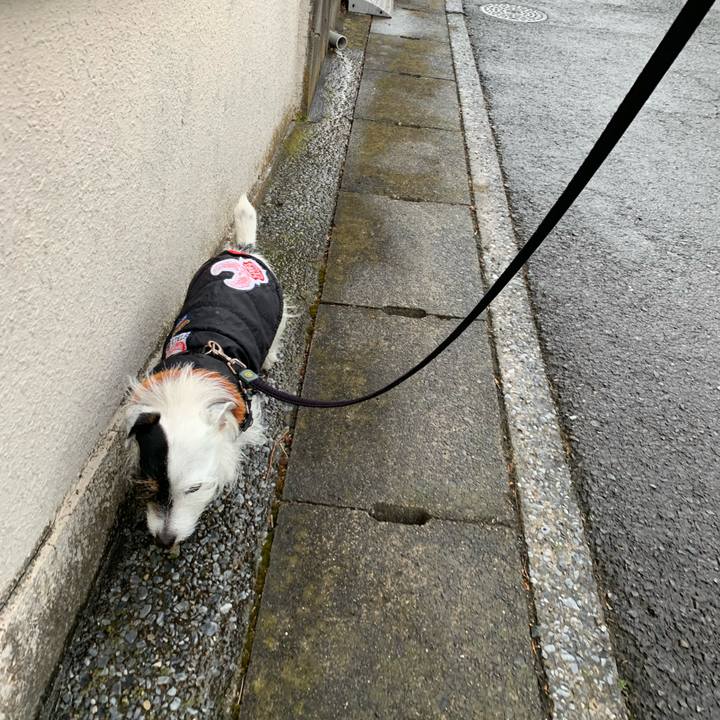 1e92c577 6db6 4dc2 88e5 6d36c9738a71 1675989485819