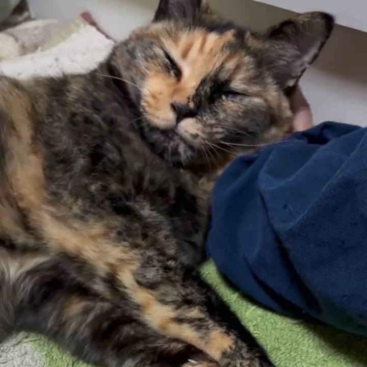 1e92c9c1 9f67 4e40 9087 9679f29a61ee 1753994916150