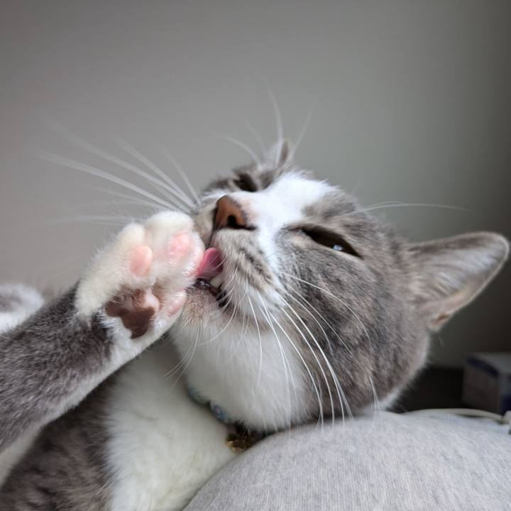 1e930438 5b57 46cb 8542 51b567538d0a 1729902734922