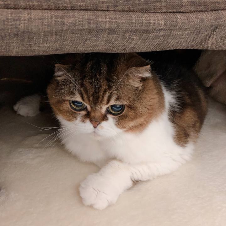 1e933128 e274 4f44 9535 ddaabdb43f62 1603442497921