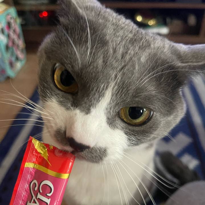 1e9338f1 34b7 4955 998d e7e80f7f166b 1648017820877