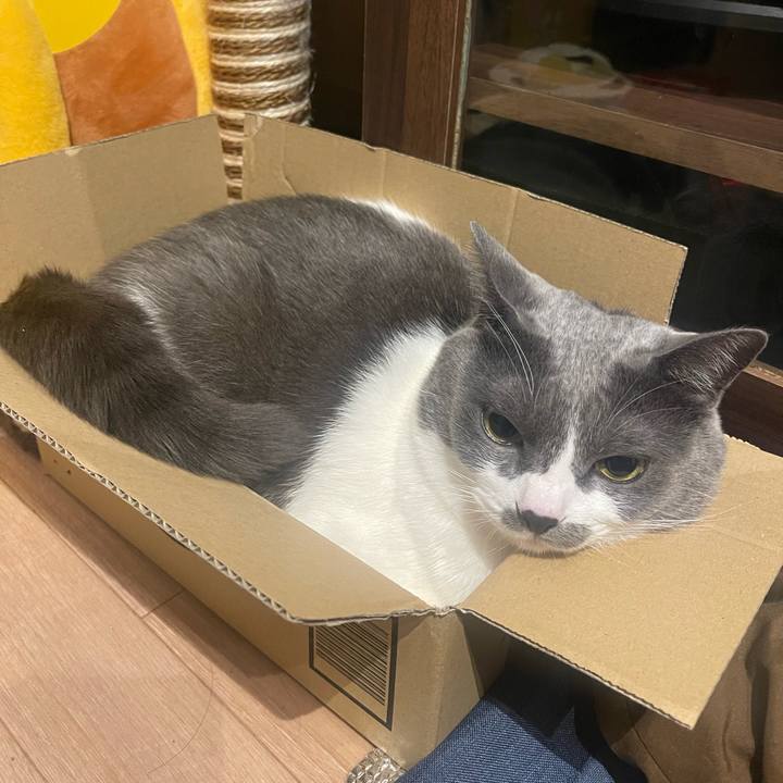 1e9340fc 6048 4890 adbd c28da340037c 1701190221666